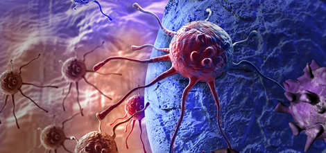 (C) vitanovski / fotolia.com